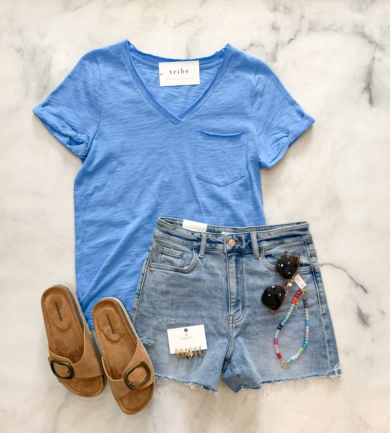 Jessa High Rise Distressed Shorts
