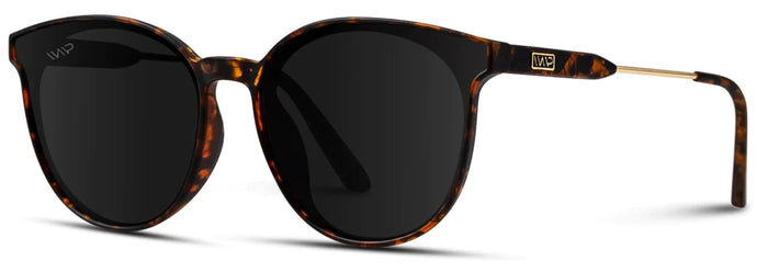 Sammy Black Tortoise Sunglasses