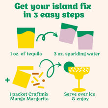 Load image into Gallery viewer, Craftmix Cocktail/Mocktail Mixer