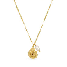 Load image into Gallery viewer, Claire Spiral Shell Pendant