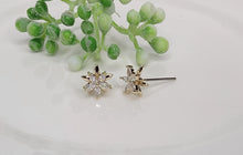 Load image into Gallery viewer, Cara Double Star Post Earrings